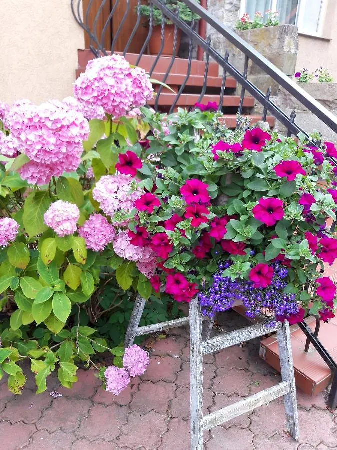 Homestay Villa Iris Kolobrzeg Poland